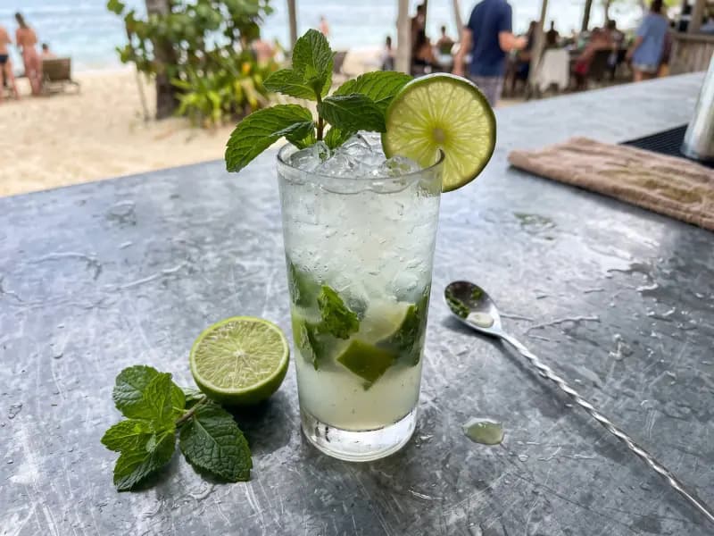 Mojito — shot from directly overhead: mint pressed rather than pounded